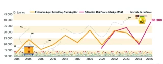 Importante production de miel en 2024