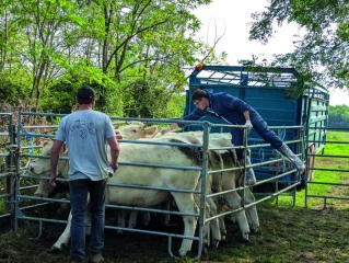 La FNSEA en appelle à la vérité scientifique