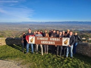 La race Aubrac poursuit son développement en Ardèche