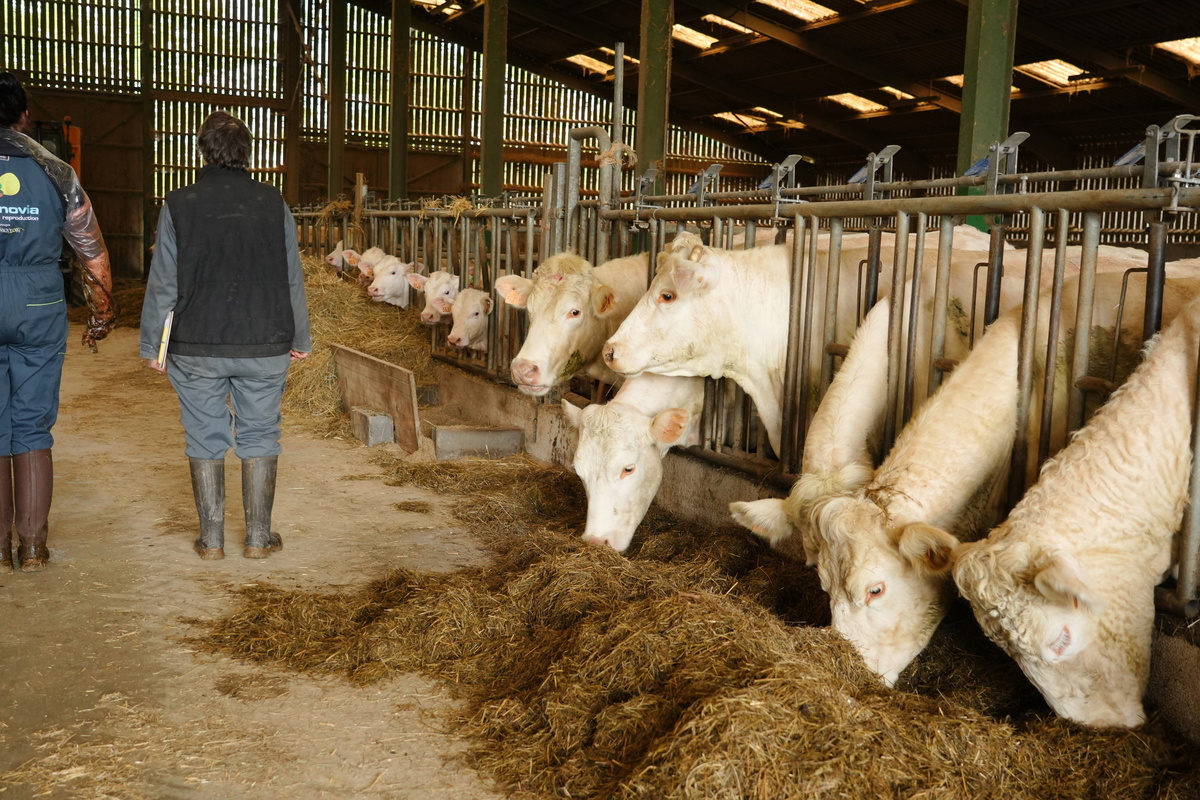 Réouverture du guichet au printemps 2026