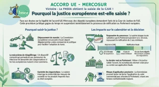 Mercosur : le Parlement européen saisit la Cour de justice de l'UE