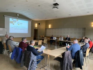 Frelon asiatique : + 43 % par rapport  à 2024