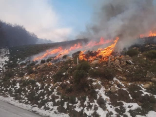 Un brûlage pastoral dirigé