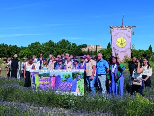 Les paysages olfactifs et poétiques de lavandes, candidats Unesco