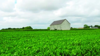 Les députés adoptent la dérogation en première lecture