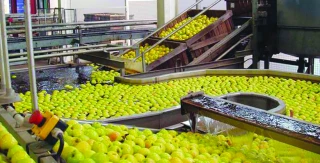 Les transformateurs de fruits dénoncent une flambée des prix