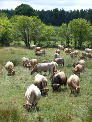 13 500 hectares de zones humides recensés dans le département