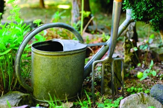 Les conseils de Rolland Pradal pour préparer son potager