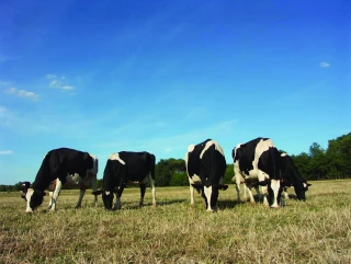 Y aura-t-il une rupture dans les dispositifs d'indemnisation ?