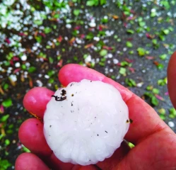 Pour mieux comprendre l’assurance récolte