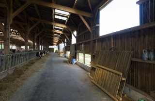 Aménagements des bâtiments d’élevage : s’appuyer en priorité sur l’existant