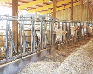 L’efficience alimentaire, un défi pour l’avenir 