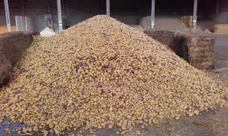 Utilisation des coproduits : ne pas agir sur un coup de tête !