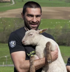 Les installations en ovins viande augmentent 