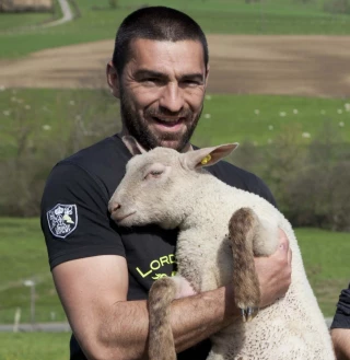 Les installations en ovins viande augmentent 