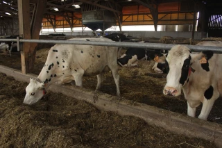 Les conseils pour adapter les bâtiments aux fortes températures