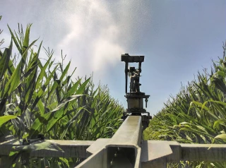 Se préparer à l’irrigation du maïs