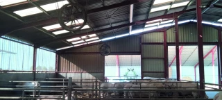 Des brasseurs d’air pour donner de l’air aux animaux