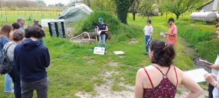 Coopération gagnante entre nuciculteur et éleveurs ovins