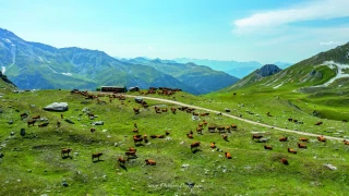 Les produits labellisés à l'épreuve de l'inflation française