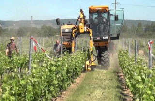 Trouver l’épampreuse adaptée à ses besoins