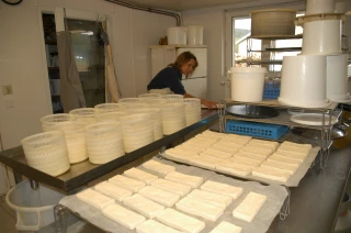 Les conseils avant de concevoir son atelier de transformation