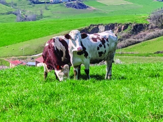 “ Pas d’année blanche sur les prix l’an prochain ”