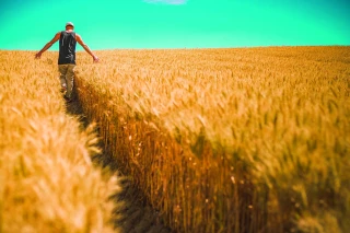 Attirer de nouveaux profils d'agriculteurs pour assurer la relève
