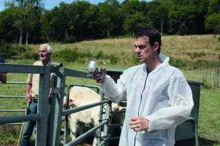 Dermatose nodulaire contagieuse : mobilisation générale