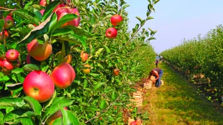 Les métiers de l’agriculture sont toujours sous tension