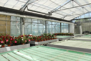 Astredhor Aura mobilisée afin d’améliorer les pratiques de la filière