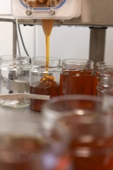 2025, une année apicole encourageante