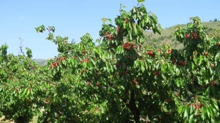 Un début de campagne prometteur malgré les aléas