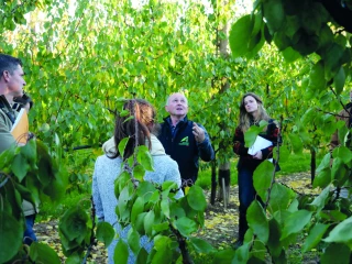 La Drôme se penche sur l’agrivoltaïsme arboricole