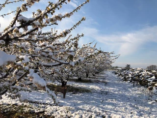 La profession attend la feuille de route du gouvernement