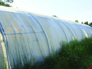 Le blanchiment des abris : pour le confort des plantes et des travailleurs