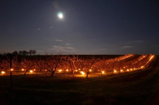 Gestion des risques climatiques : pas de temps à perdre !
