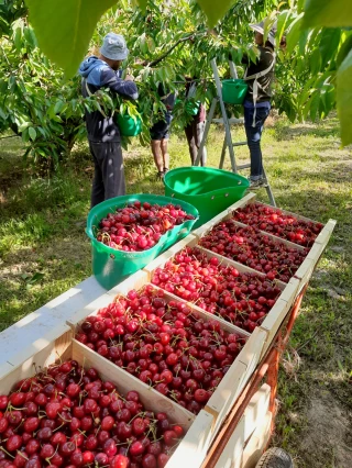 « L'origine Ardèche est un atout indispensable »