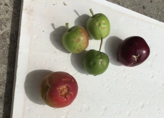 Un épisode cévenol exceptionnel pour un mois de juin 