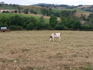 Agriculture biologique : dernières évolutions réglementaires