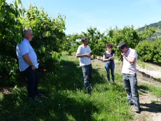 Gel : la tournée des calamités agricoles a eu lieu en Nord et Sud Ardèche