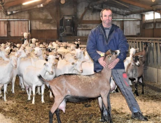 Pailleuse automatique : un gain de temps et d’énergie 