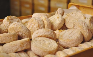 Concours de fromages de chèvres fermiers et Picodons AOP 