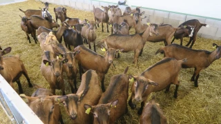 Une année de reconstruction et de relance des moyens de production