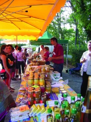 Circuits courts : réussir votre étude de marché