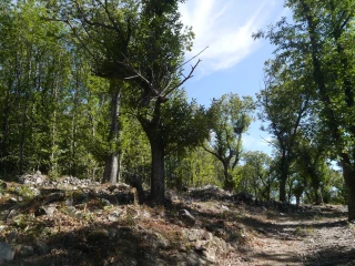 Boostez ses performances avec les formations