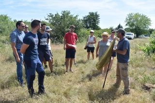 PSE : Des vignes amies des papillons