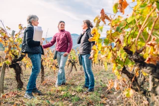 Conseil stratégique phyto : entre obligation et outil d’évolution des pratiques