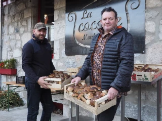 Saint-Cirgues-en-Montagne, eldorado des cèpes