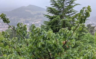 Un mois de juin (presque) conforme aux normales de saison